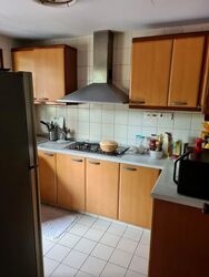 Carissa Park Condominium (D17), Condominium #548143321